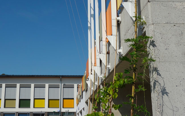 Ecole SEDF- Vue Est 2 tamtam architecture